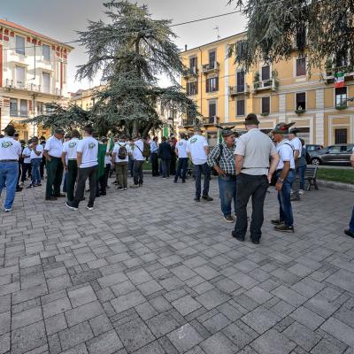 25 09 21 09 49 30 1 Copia 1